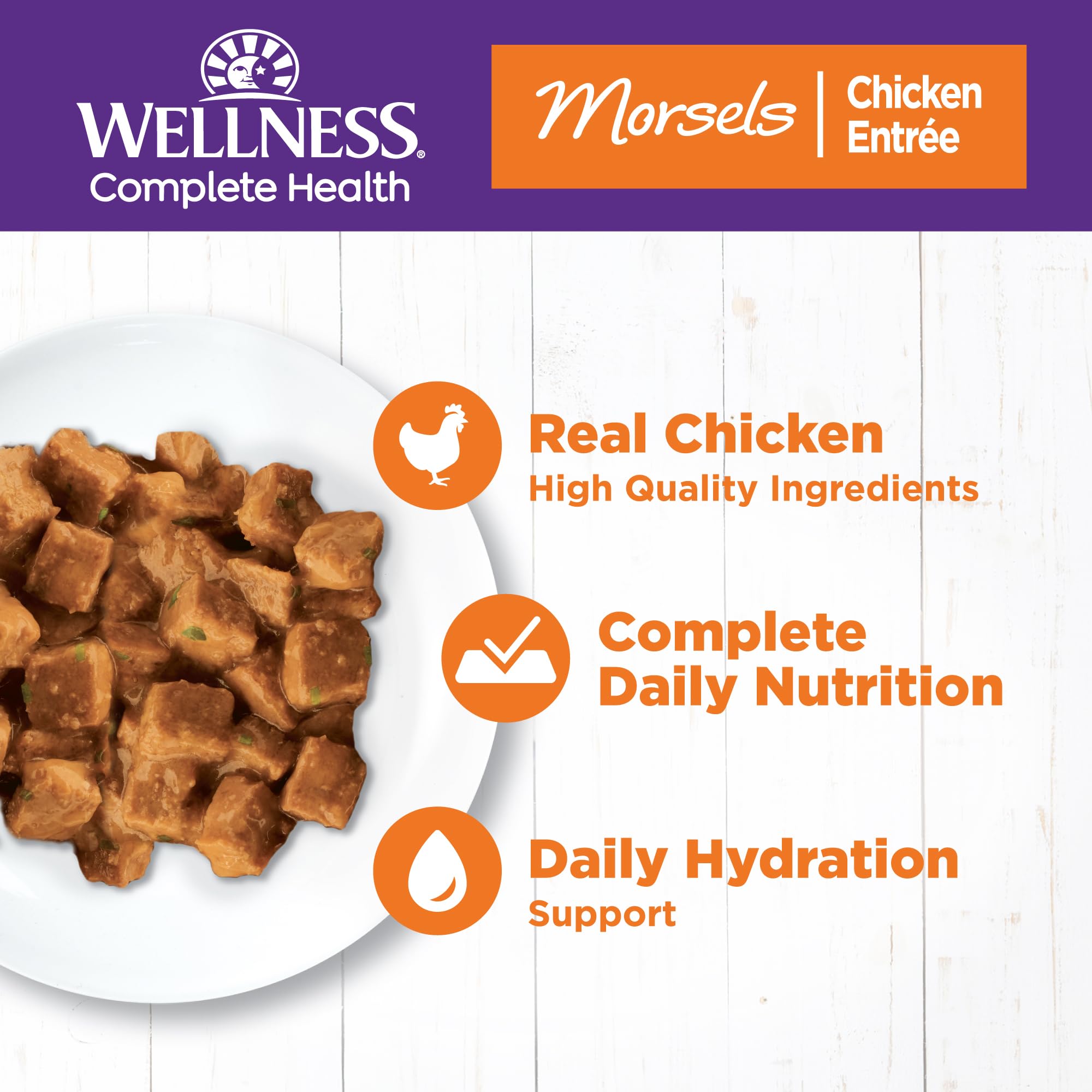Wellness gros plan sur cubes en sauce ; apparence appétissante pour le chat
