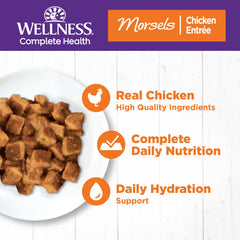 Wellness gros plan sur cubes en sauce ; apparence appétissante pour le chat