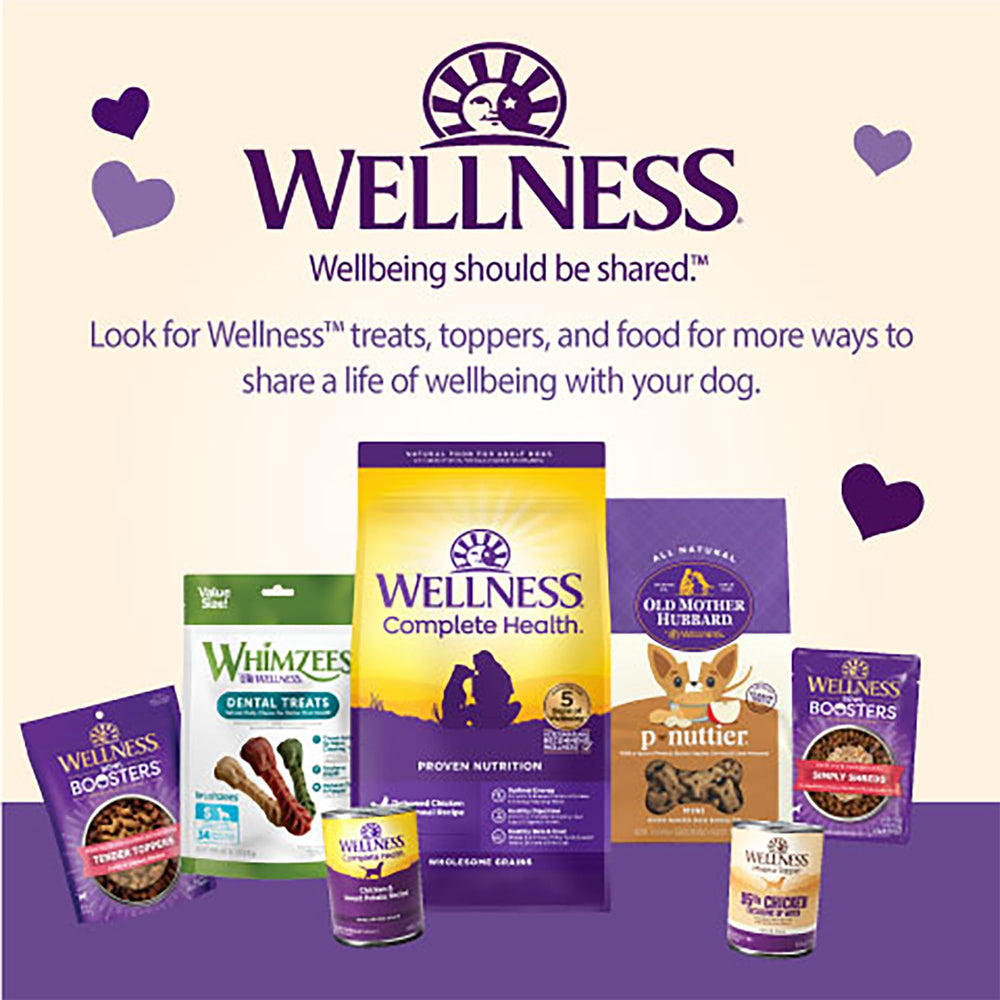 Wellness WellBars friandise brisée montrant intérieur fruité pour attractivité gustative
