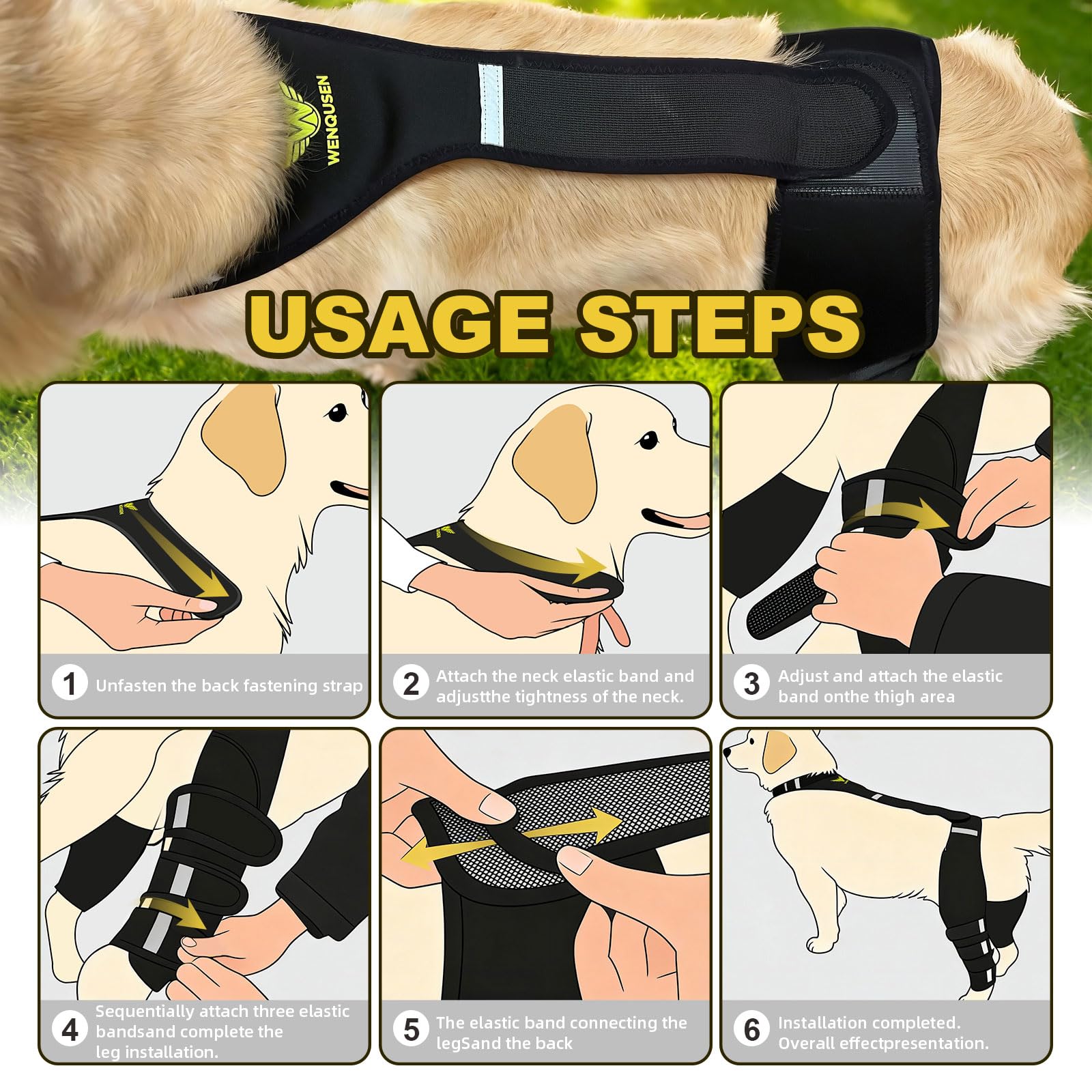 WENQUSEN comparaison taille M placée sur patte d’un chien moyen