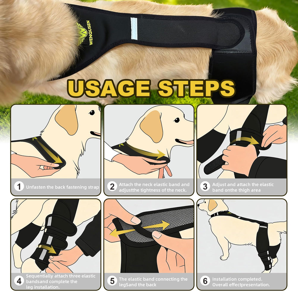 WENQUSEN comparaison taille M placée sur patte d’un chien moyen