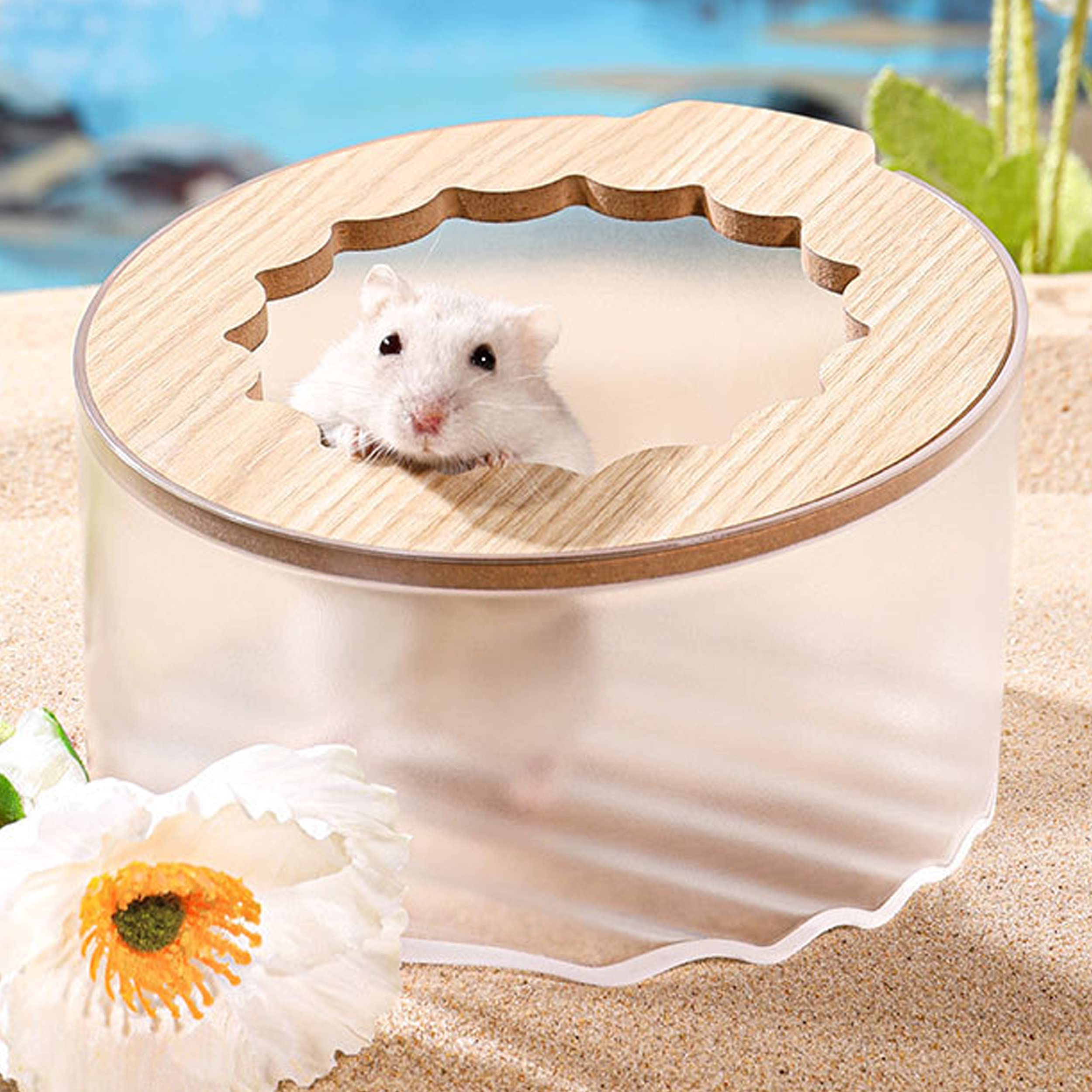 Wenriko face avant du bac montrant la forme circulaire et une meilleure rétention du sable
