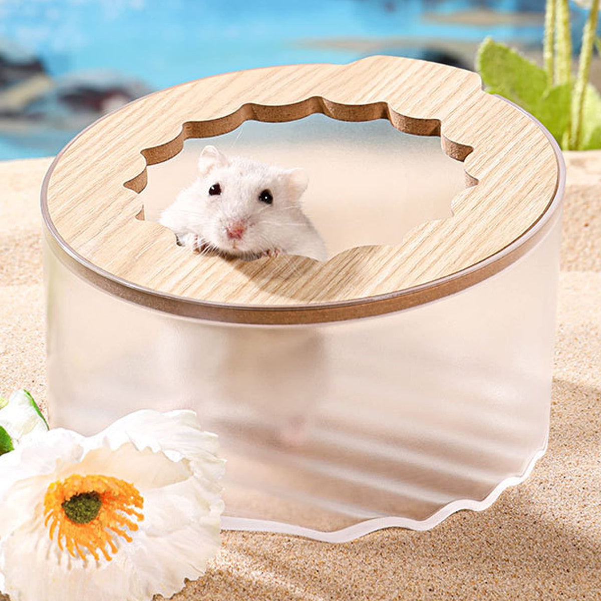 Wenriko face avant du bac montrant la forme circulaire et une meilleure rétention du sable