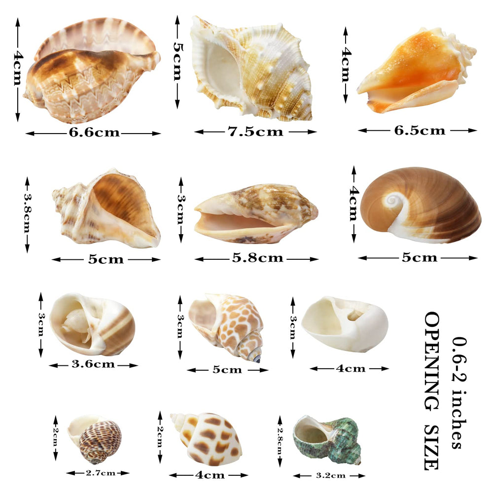 WEOXPR gros plan texture montrant surface naturelle et solidité