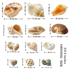 WEOXPR gros plan texture montrant surface naturelle et solidité