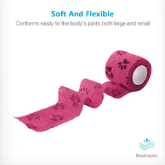 WePet en utilisation sur patte de chien pour protection fiable