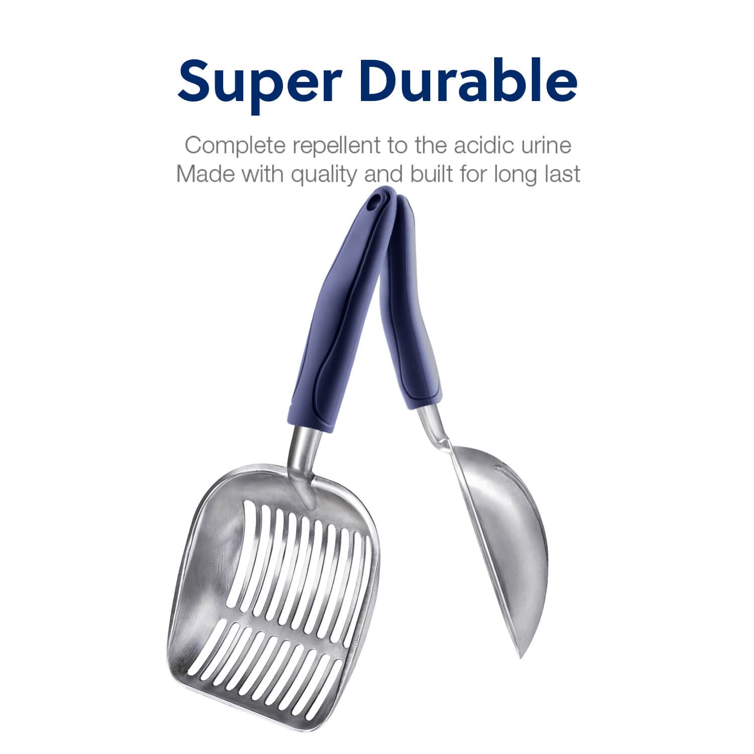 WePet comparaison taille montre couverture large pour moins de passages
