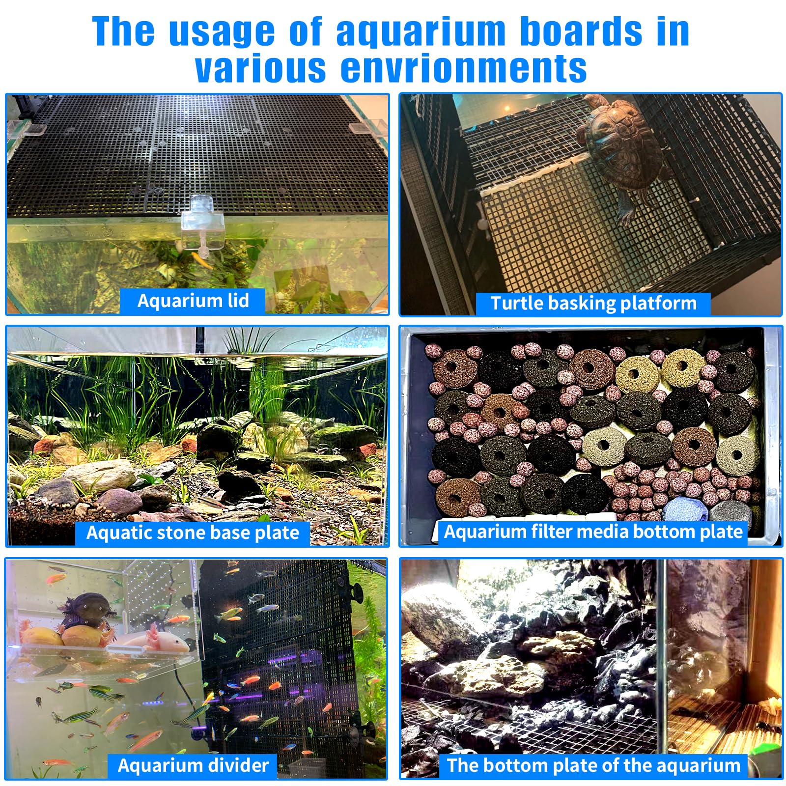 Weramics comparaison de taille contre verre d'aquarium, ajustement précis