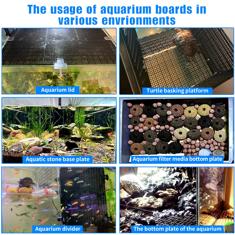 Weramics comparaison de taille contre verre d'aquarium, ajustement précis