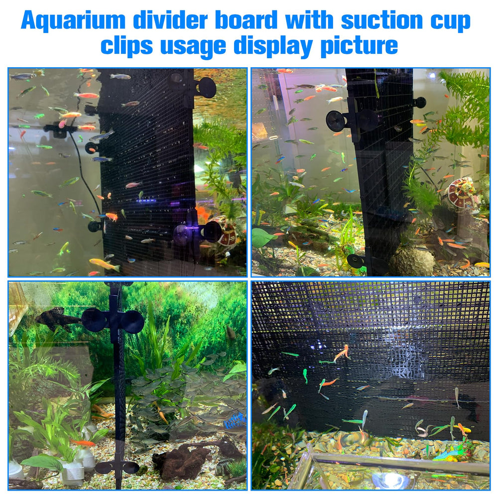 Weramics cloison installée dans aquarium, séparation nette des zones