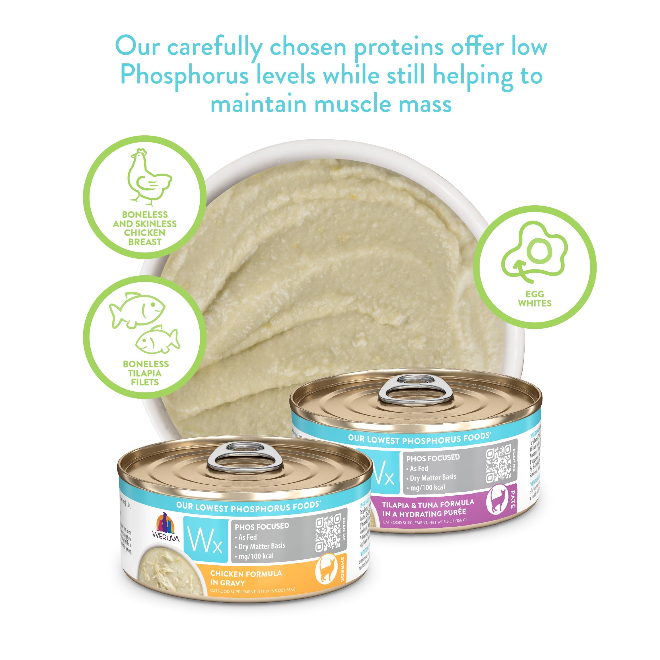 Weruva assortiment disposé illustrant diversité pâté et gravy