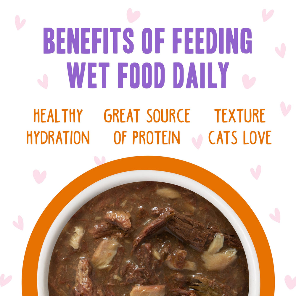 Weruva portion servie dans une gamelle pour contrôle des rations
