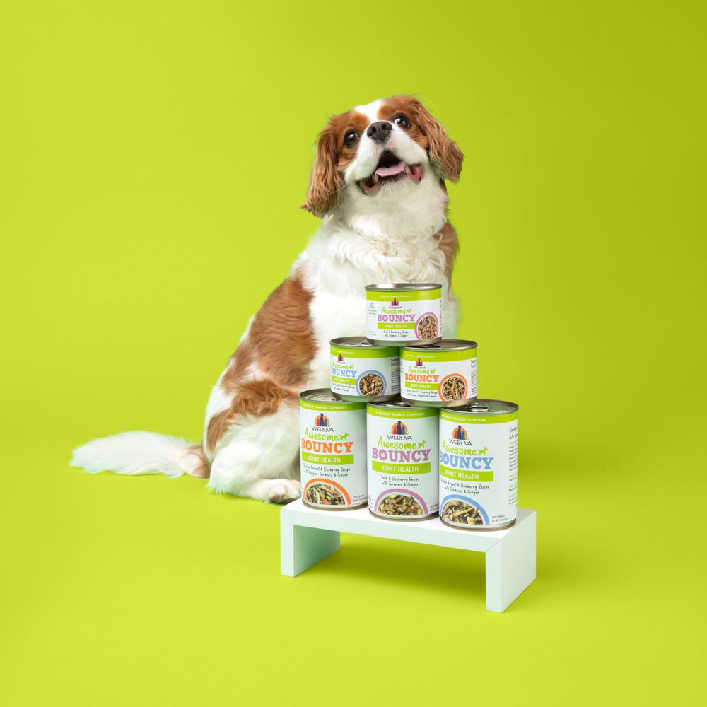 Weruva chien qui mange, plaisir et acceptation par l'animal