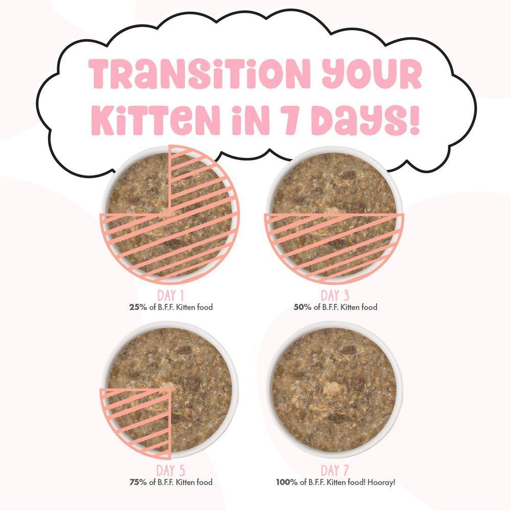 Weruva Cuddle Buds mise en scène en cuisine évoquant préparation et service facile