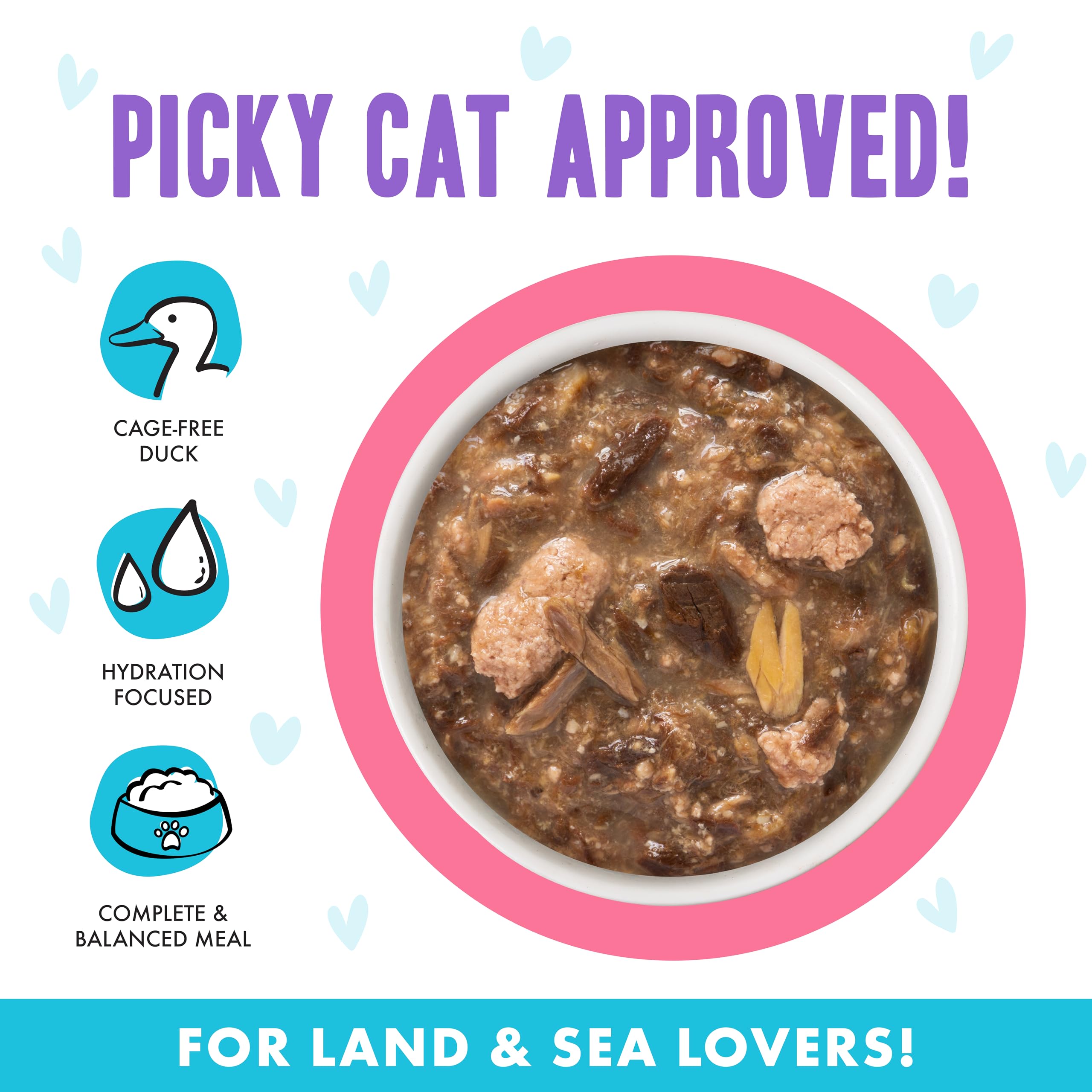 Weruva gros plan saumon coloré offrant saveur naturelle pour chat