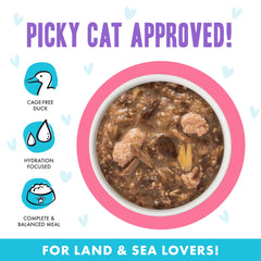 Weruva gros plan saumon coloré offrant saveur naturelle pour chat