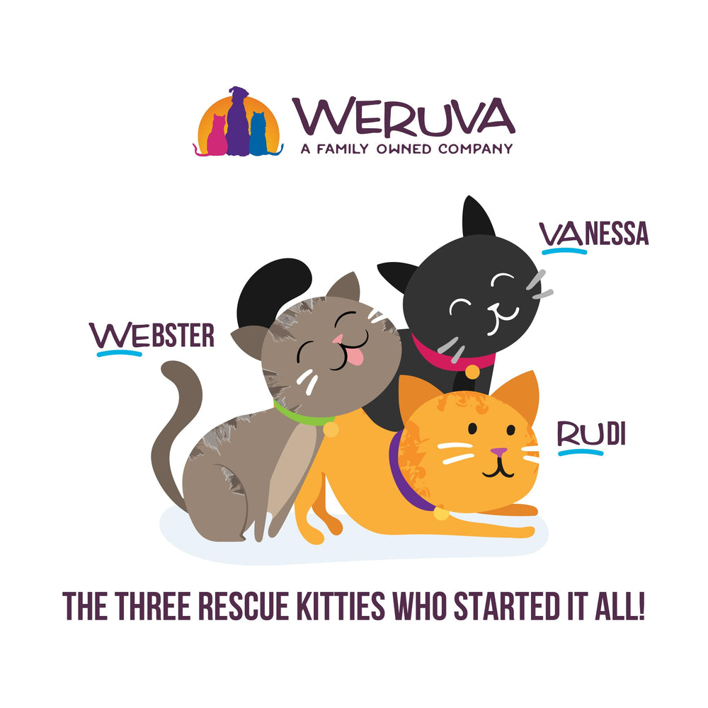 Weruva chat mange en salon montrant appétence et moment convivial