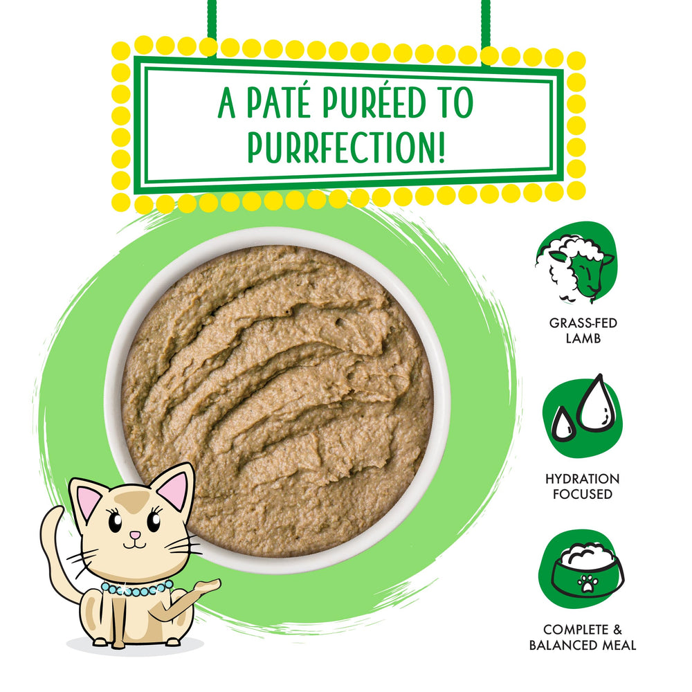 Weruva pâté gros plan montrant texture crémeuse et appétence améliorée