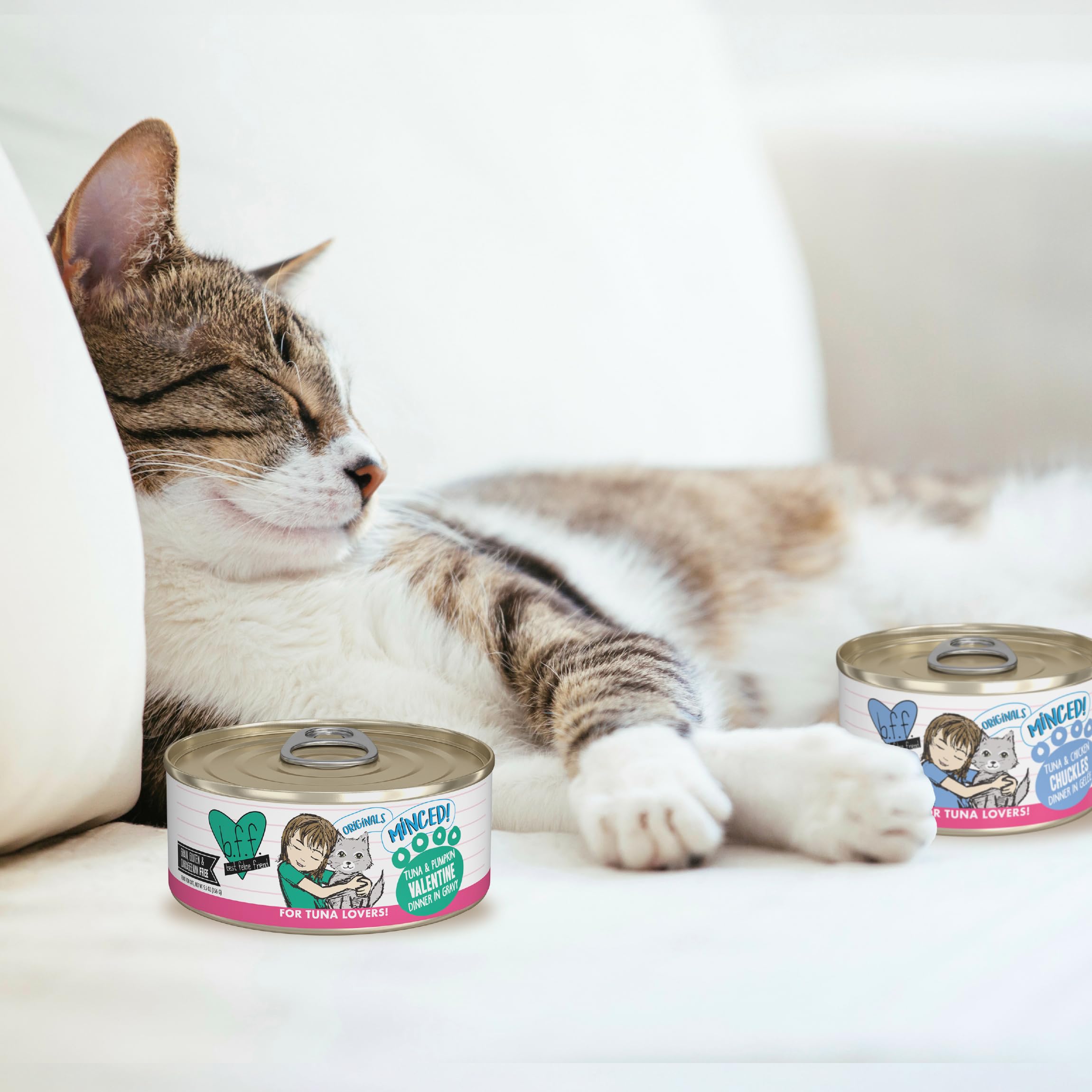 Weruva scène de vie chat mangeant pour évoquer plaisir et bien-être