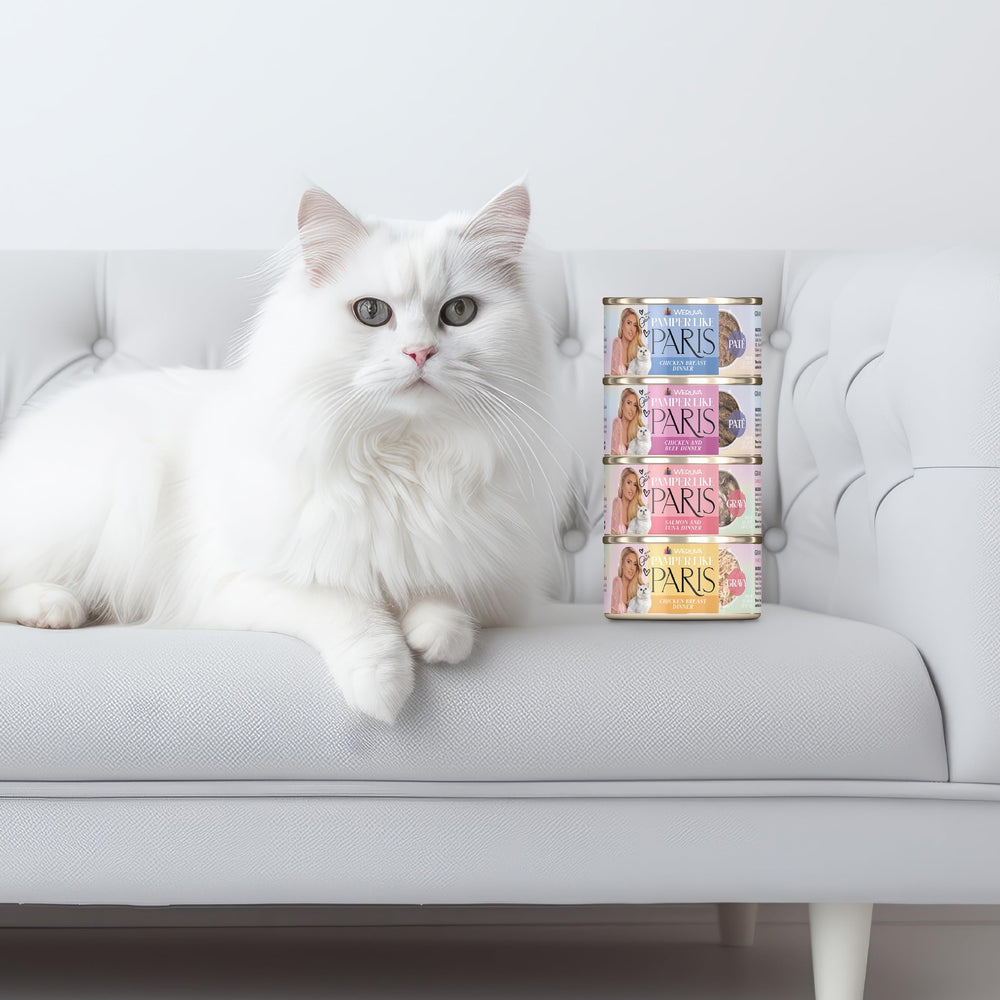 Weruva chat mange dans une gamelle, illustre l'acceptation par l'animal