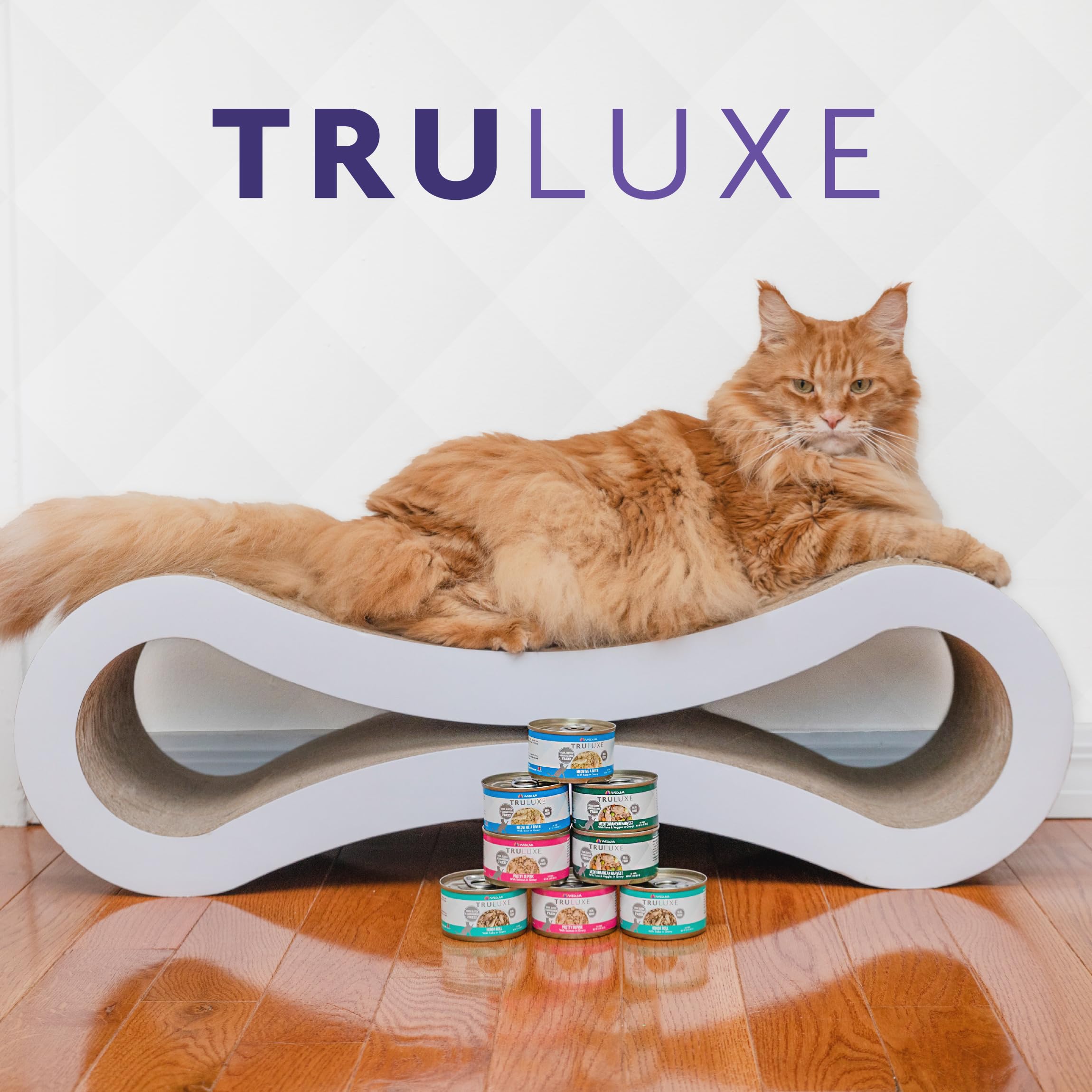 Weruva photo des fondateurs et usine soulignant normes de fabrication strictes