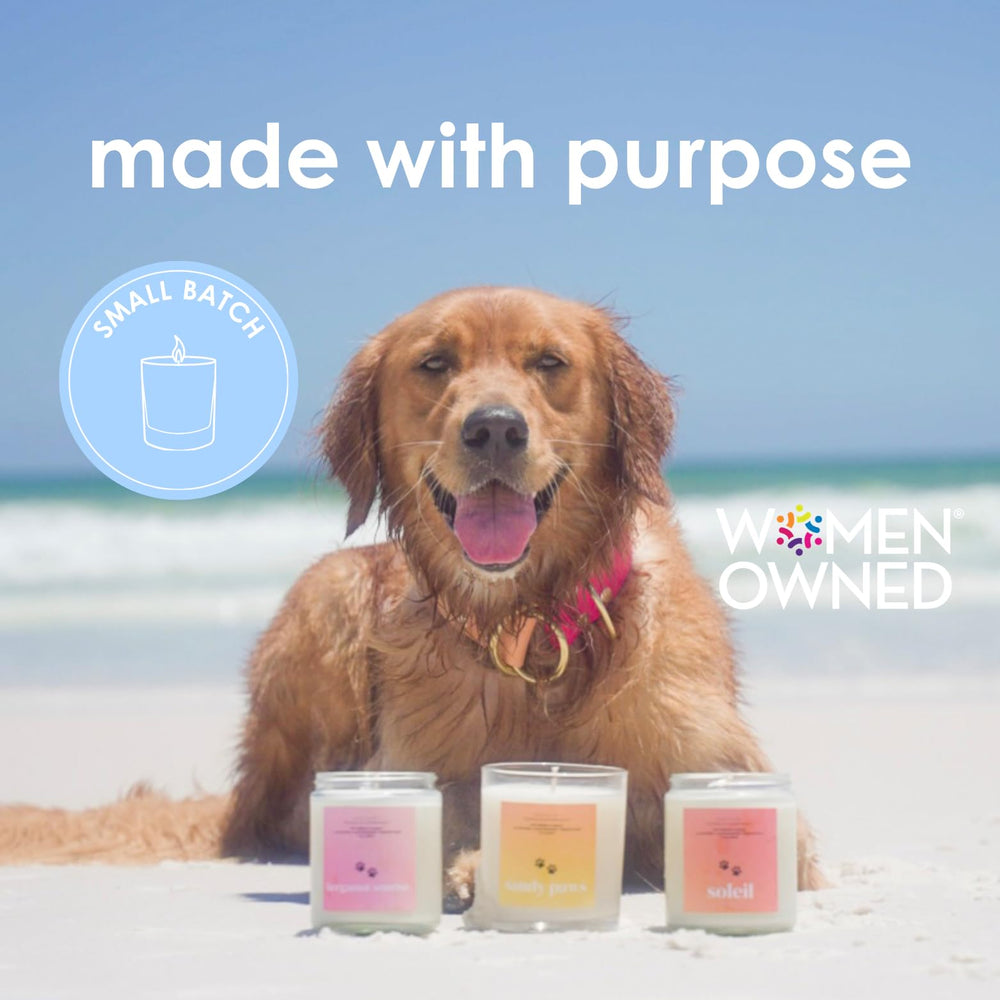 West Coast Candle Company atelier Las Vegas montrant production artisanale en petit lot