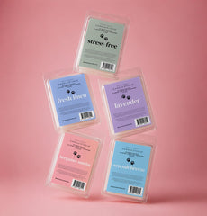 West Coast Candle Company fondant dans chauffe-cire illustrant diffusion et neutralisation d'odeurs
