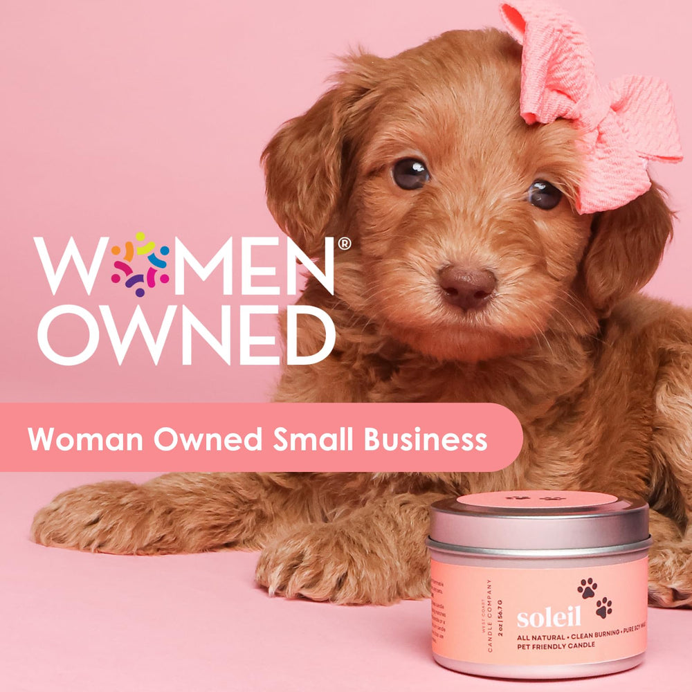 West Coast Candle Company soutien SEE Turtles met en valeur achat responsable