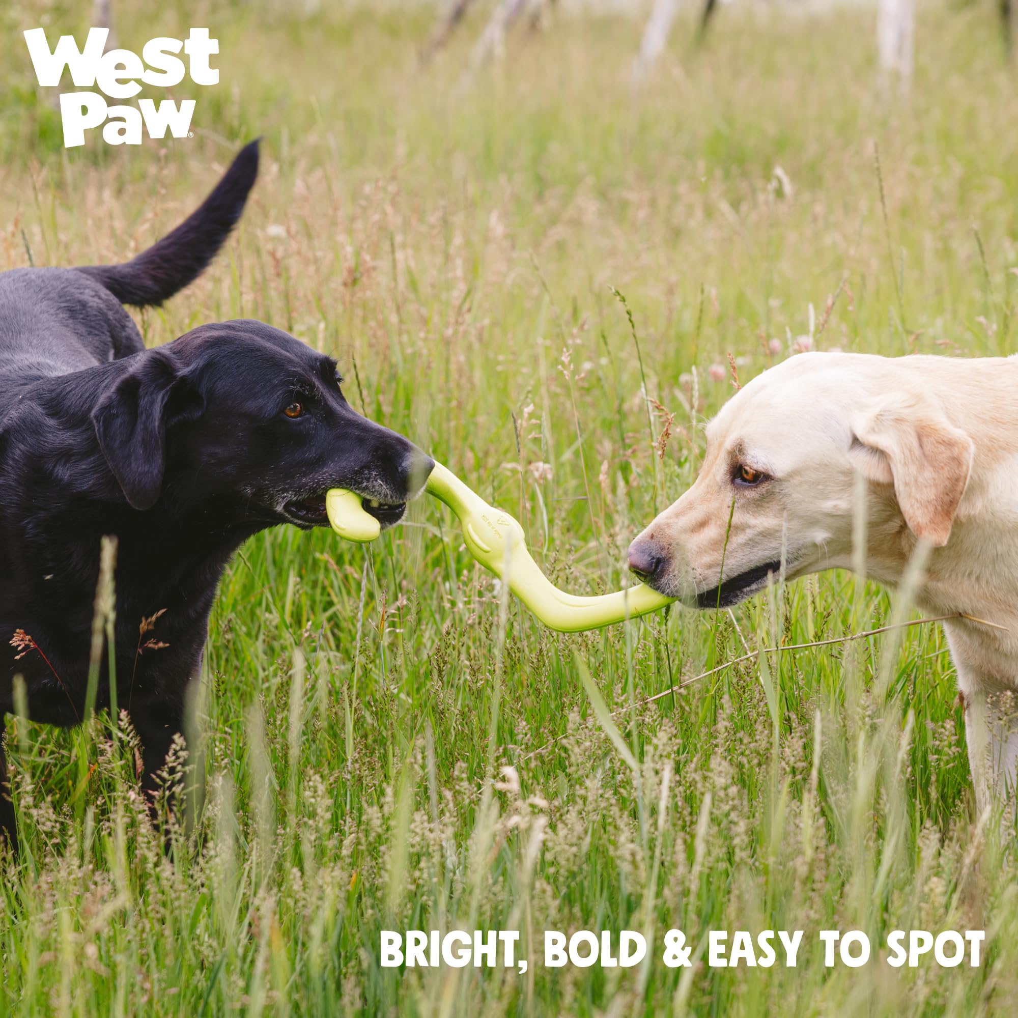 WEST PAW Bumi posé à côté d’un grand chien démontrant la taille