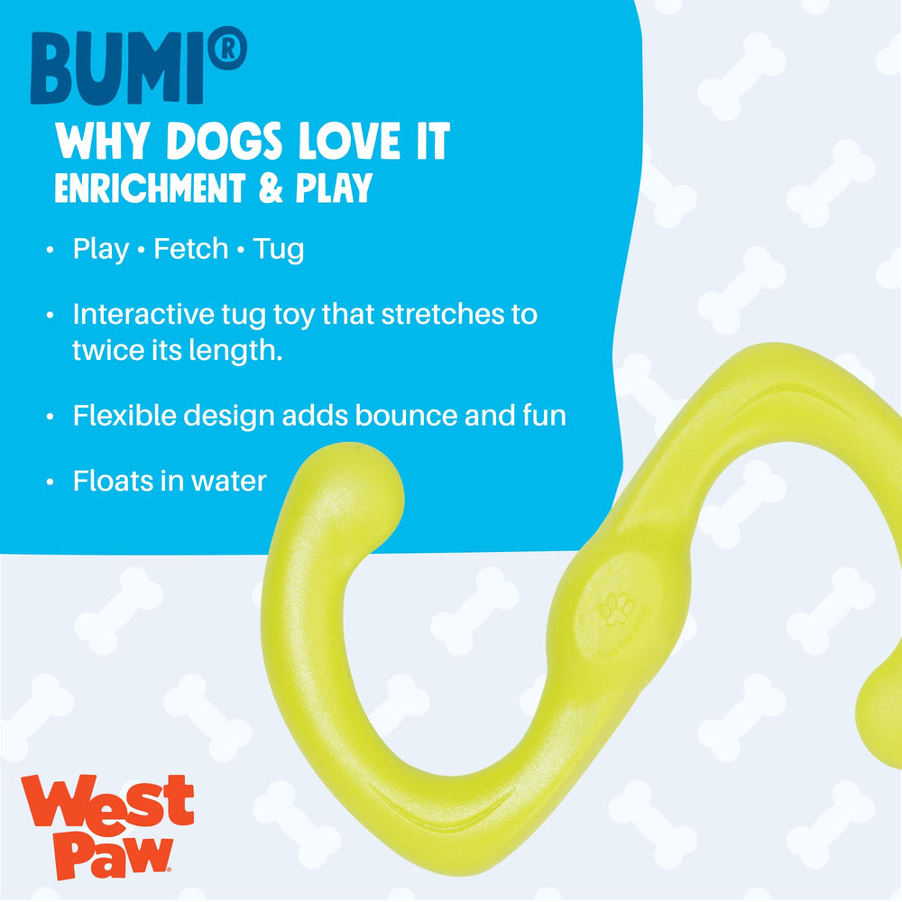 West Paw Bumi gros plan sur texture Zogoflex, durabilité tactile
