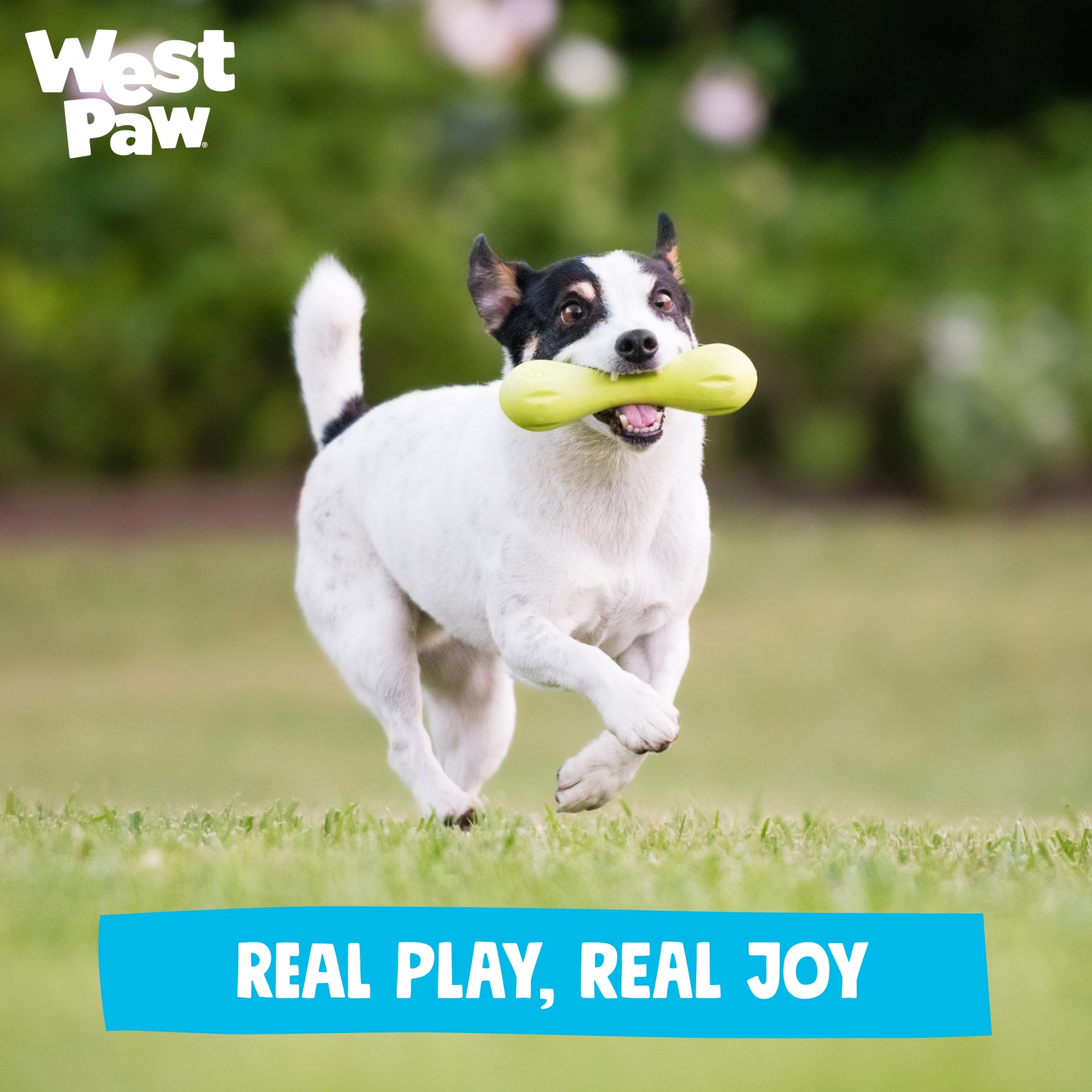 WEST PAW scène lifestyle au parc montrant usage actif et plaisir