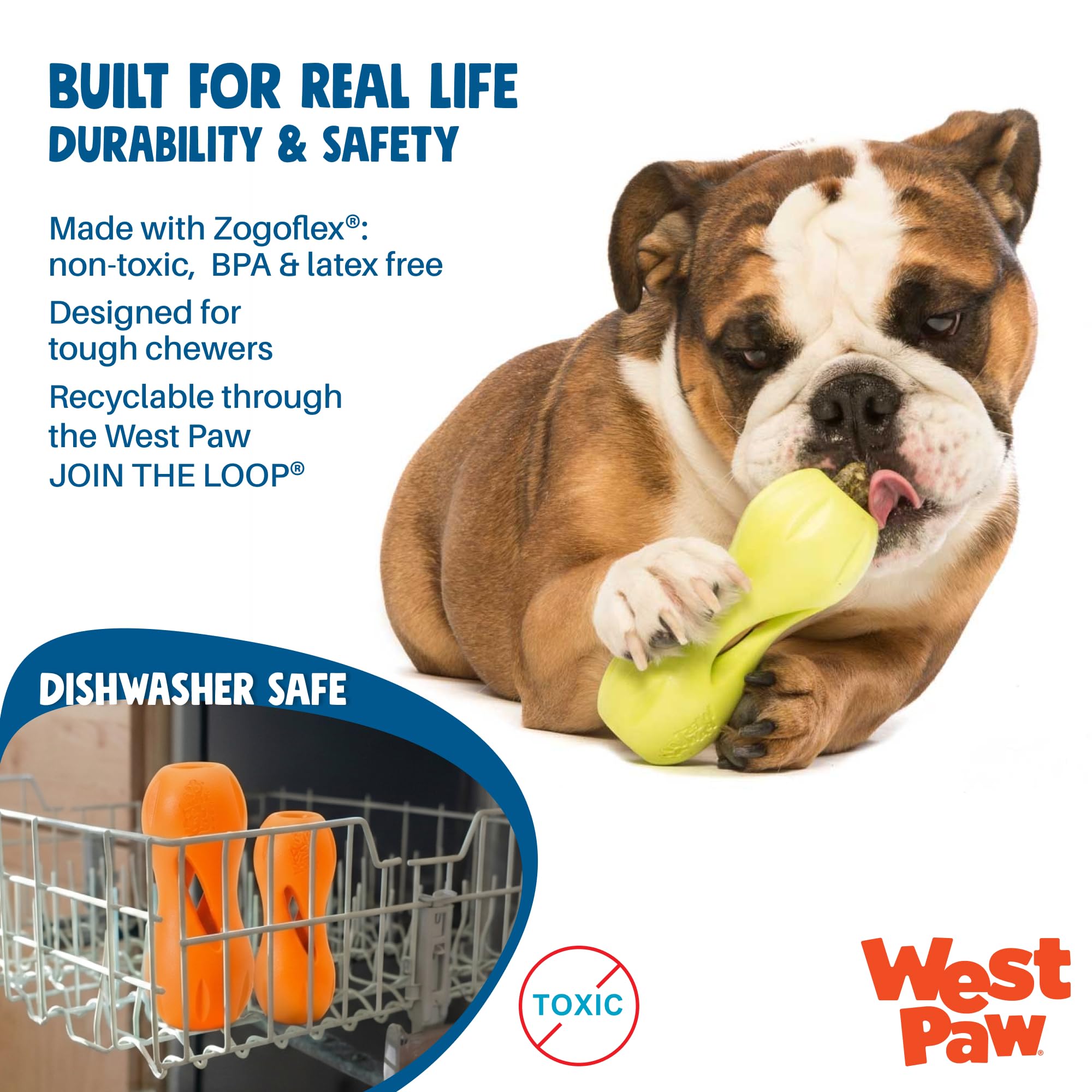 WEST PAW Qwizl utilisé par un petit chien favorisant stimulation mentale active
