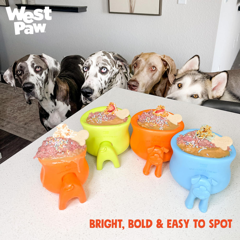 WEST PAW Stopper dans lave-vaisselle démontre nettoyage facile et hygiène