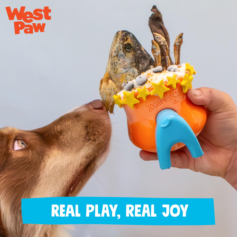 WEST PAW Stopper en situation avec chien illustre enrichissement et divertissement