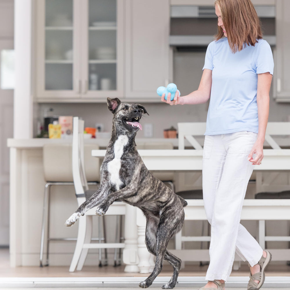 WEST PAW Tux comparaison avec main montrant taille Large pratique