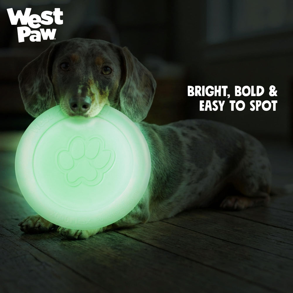 WEST PAW Zisc réception par grand chien démontrant sécurité et confort de prise