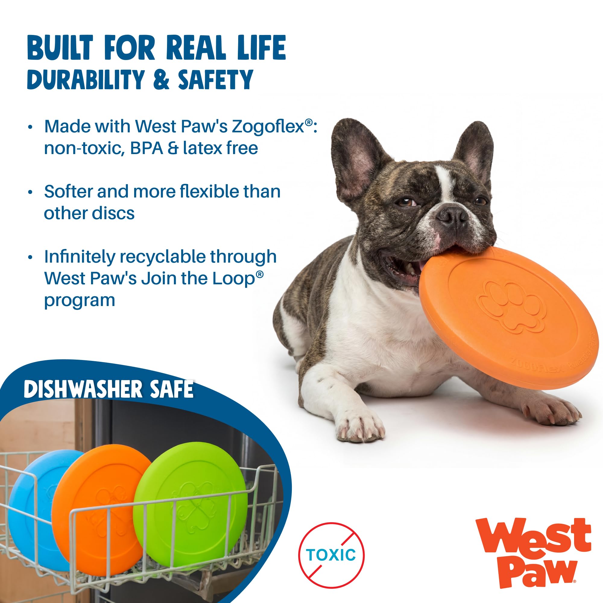 WEST PAW Zisc lancé et attrapé par chien actif dans parc