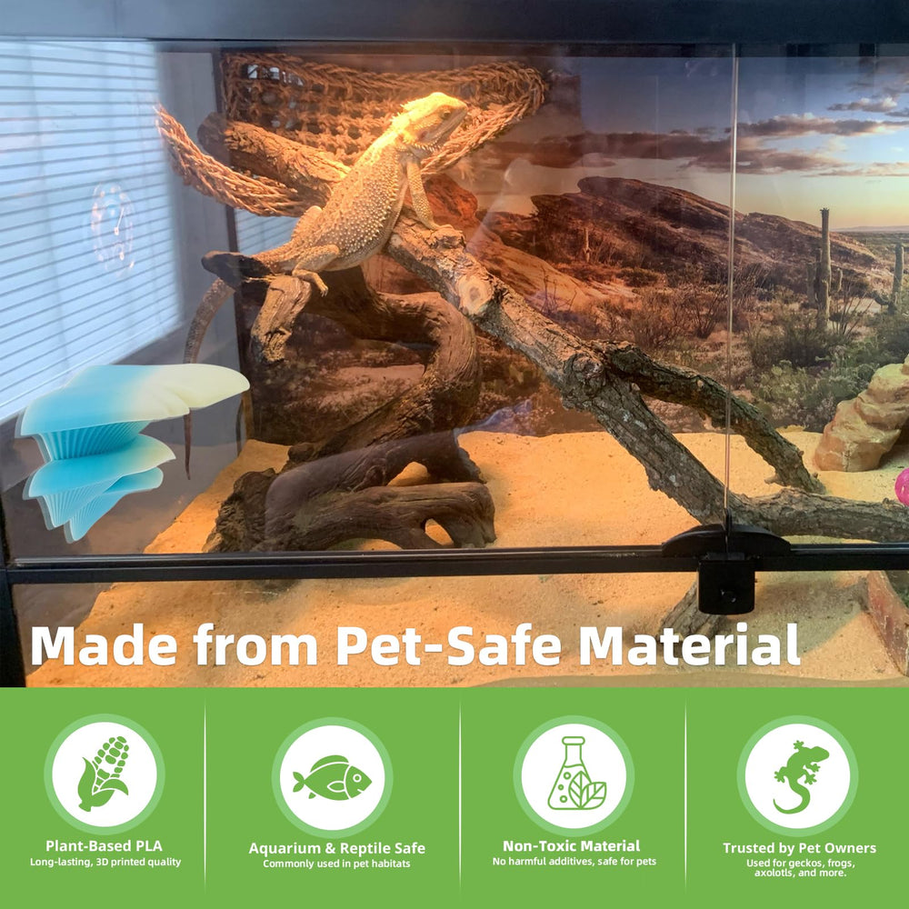 Westant champignon en usage dans terrarium offrant cachettes et zones d'exploration
