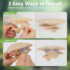 Westant champignon ventouse montrée en fixation facile et repositionnable sur verre