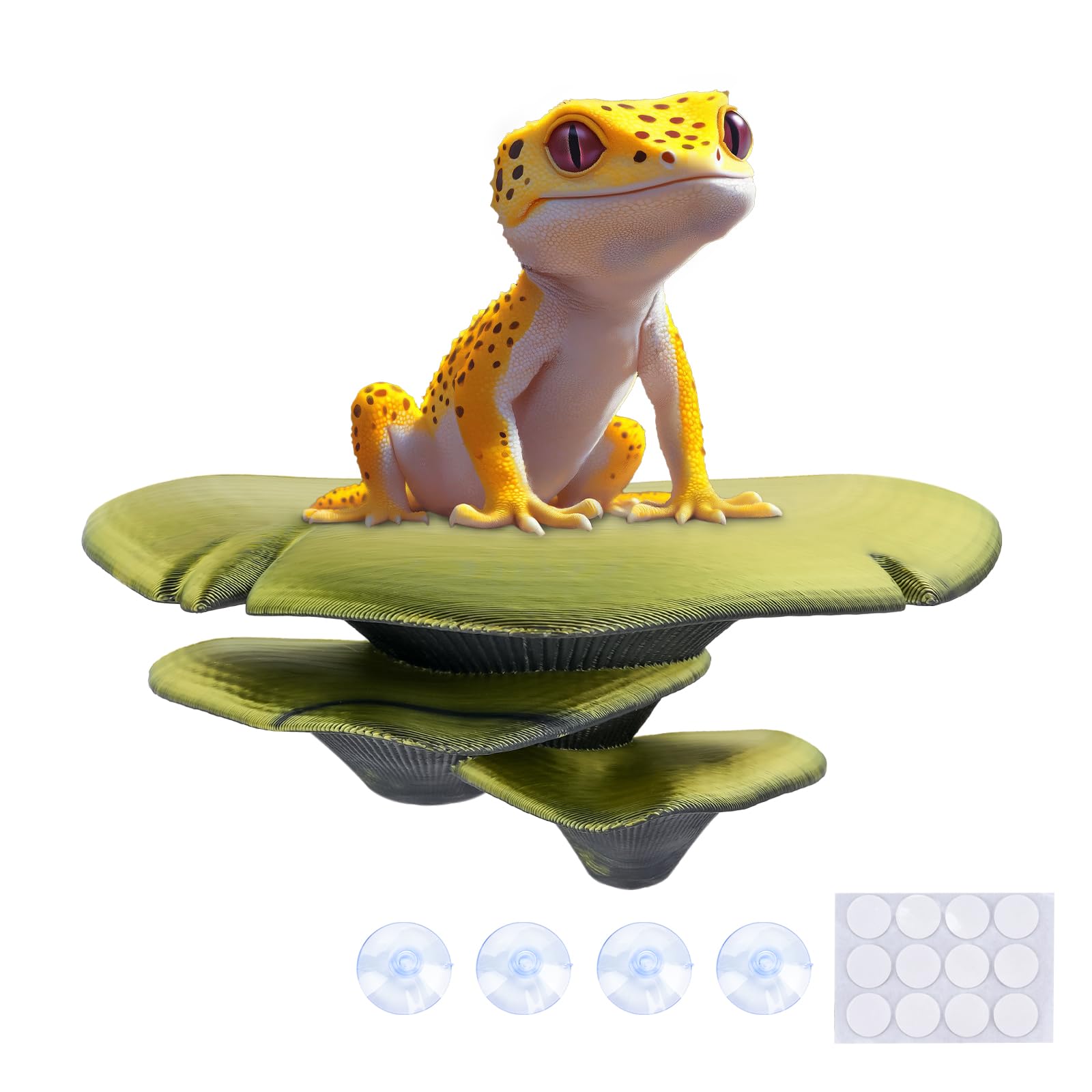Westant champignon trio vue avant montrant design naturel et attirant pour terrarium