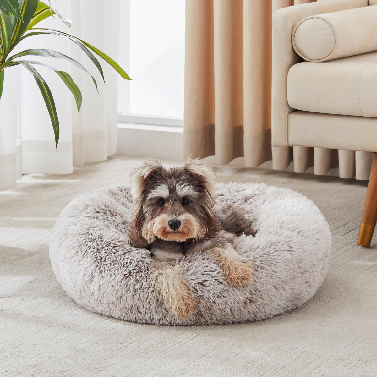 western home WH panier donut face montrant design cosy et maintien