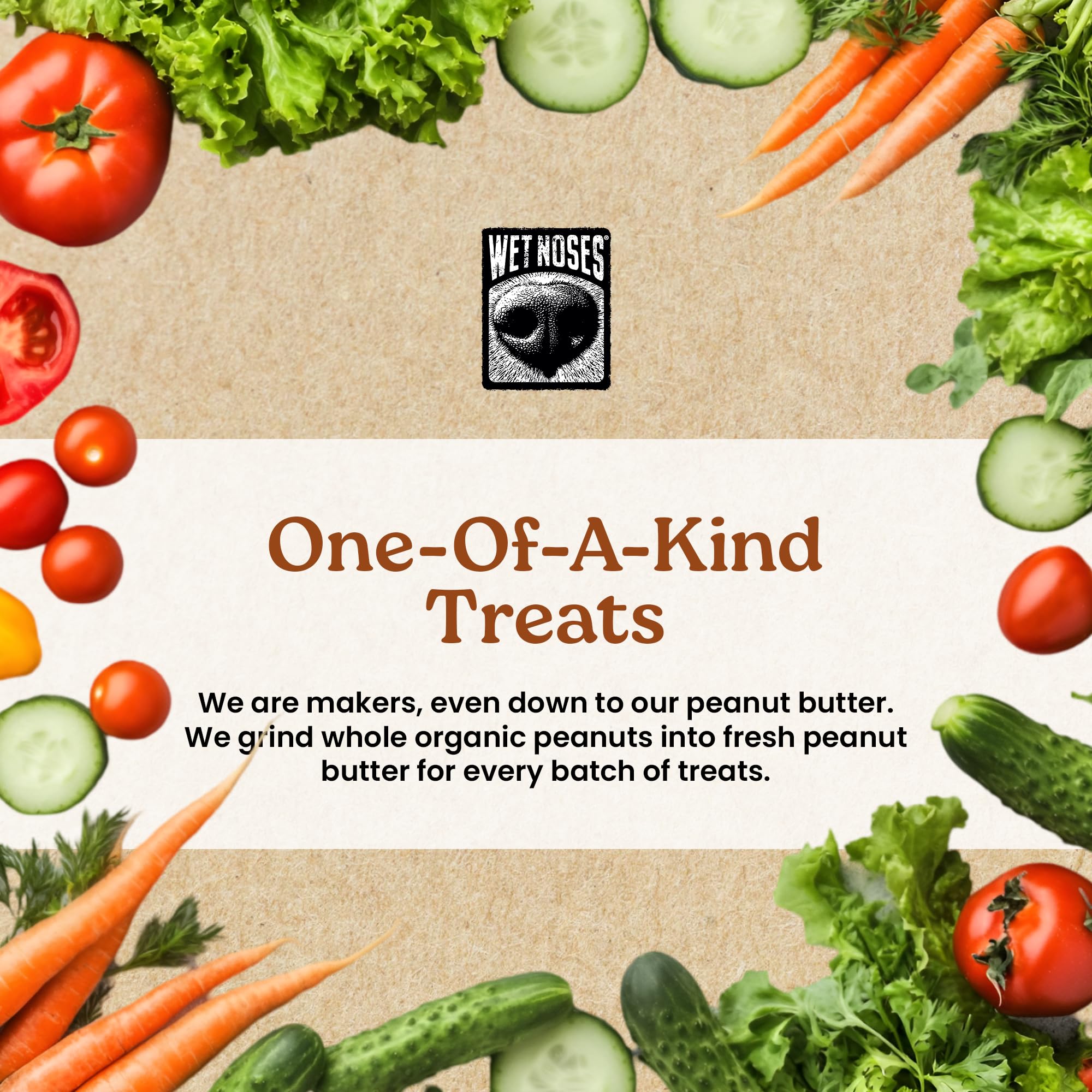Wet Noses chien recevant friandise, renforcement positif visible