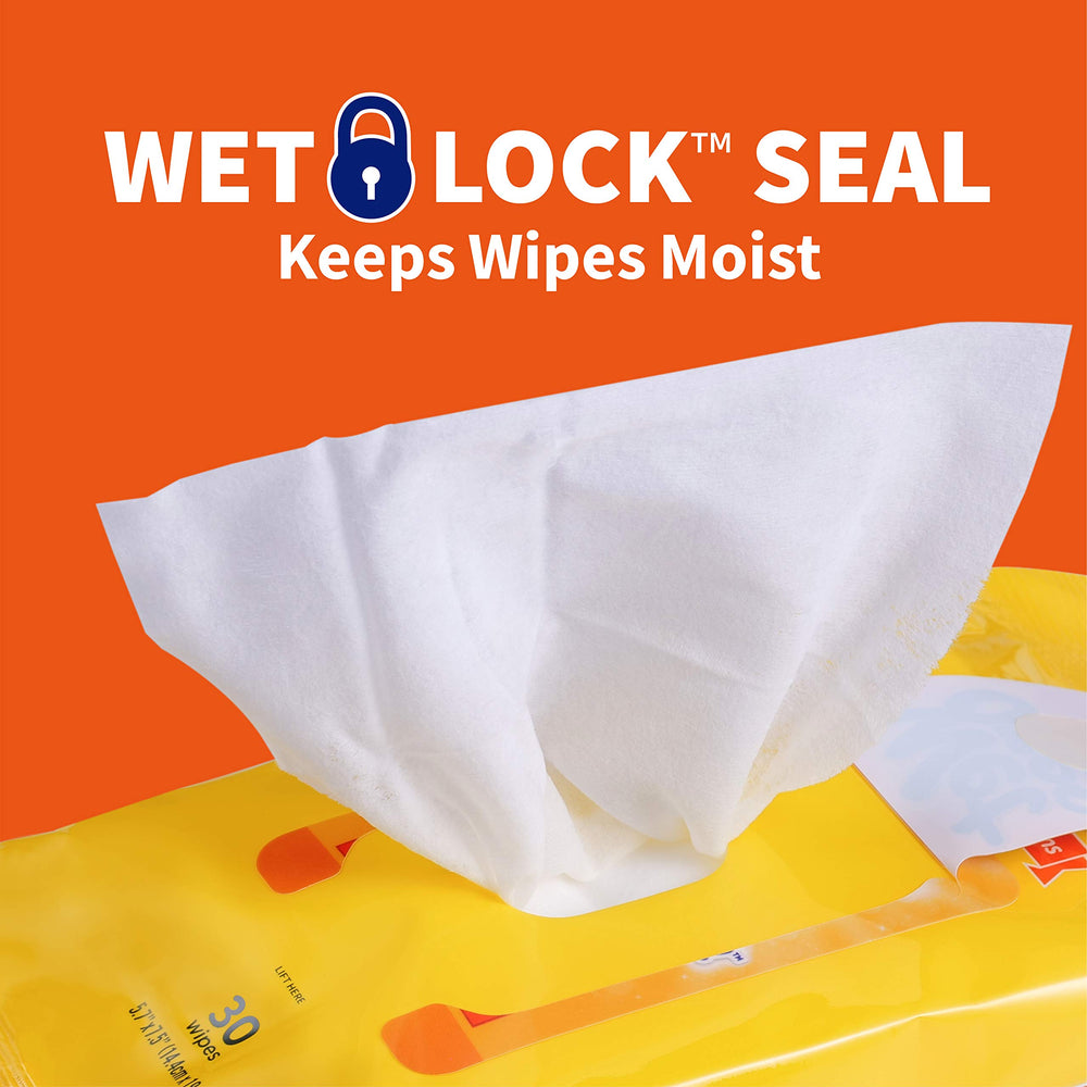 Wet Ones lingette utilisée sur patte de chien pour nettoyage rapide