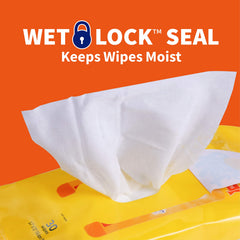 Wet Ones lingette utilisée sur patte de chien pour nettoyage rapide