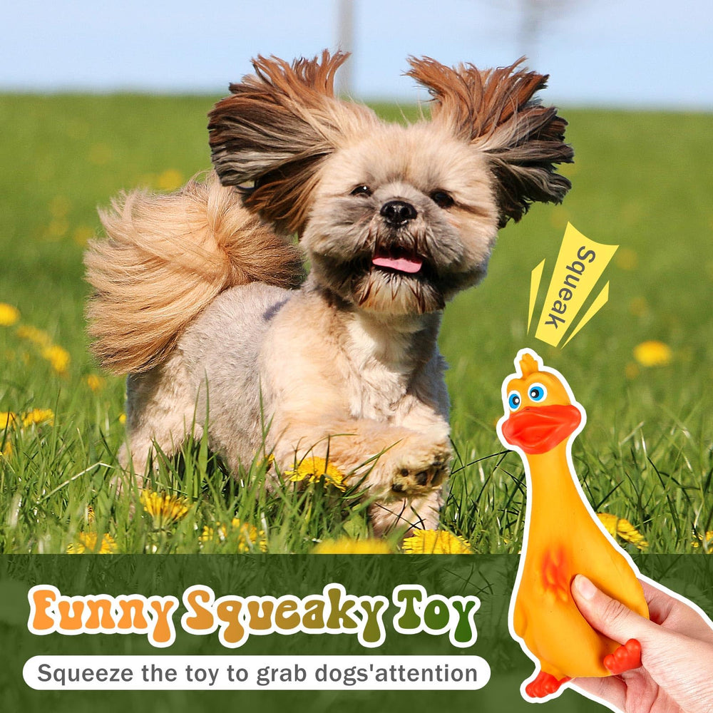 Wettarn chien jouant avec humain pour promouvoir exercice et lien