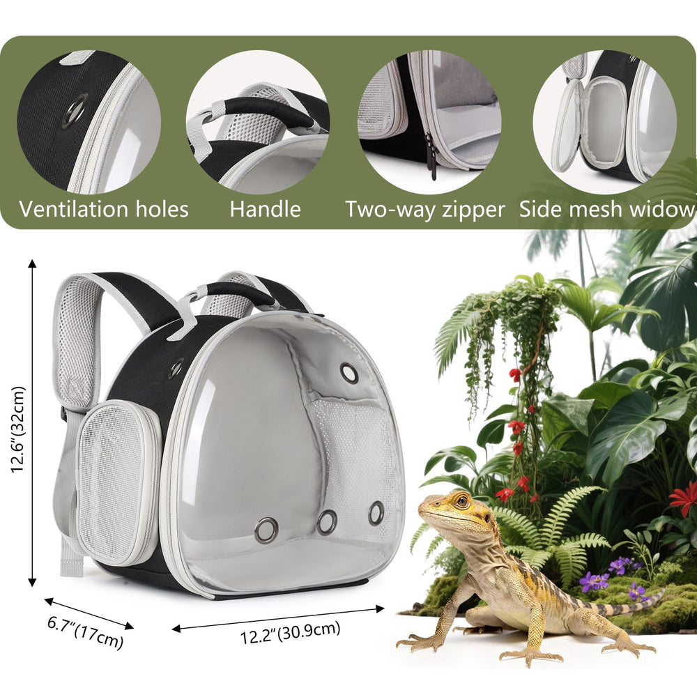 WEVONIGU bulle transparente gros plan offrant sécurité et vue pour reptile