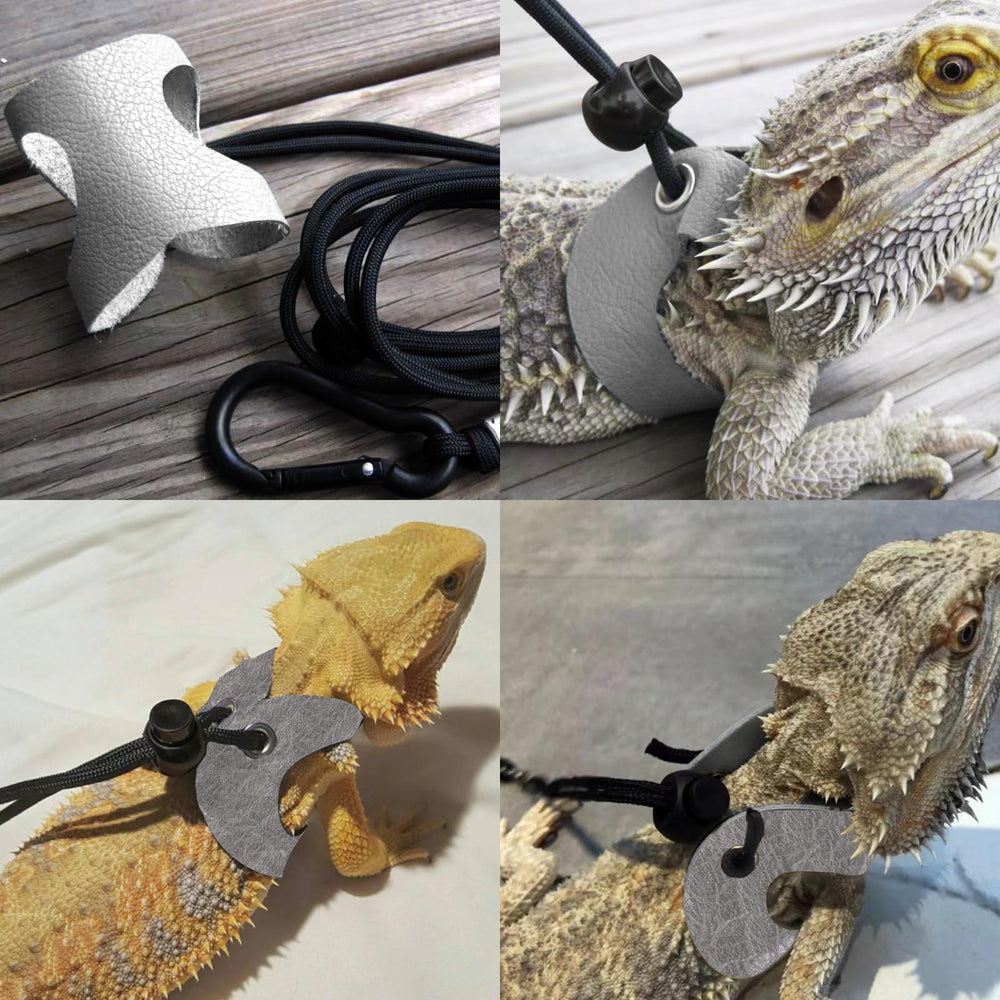 WEVONIGU comparaison d'échelle pour adapter la taille de l'animal