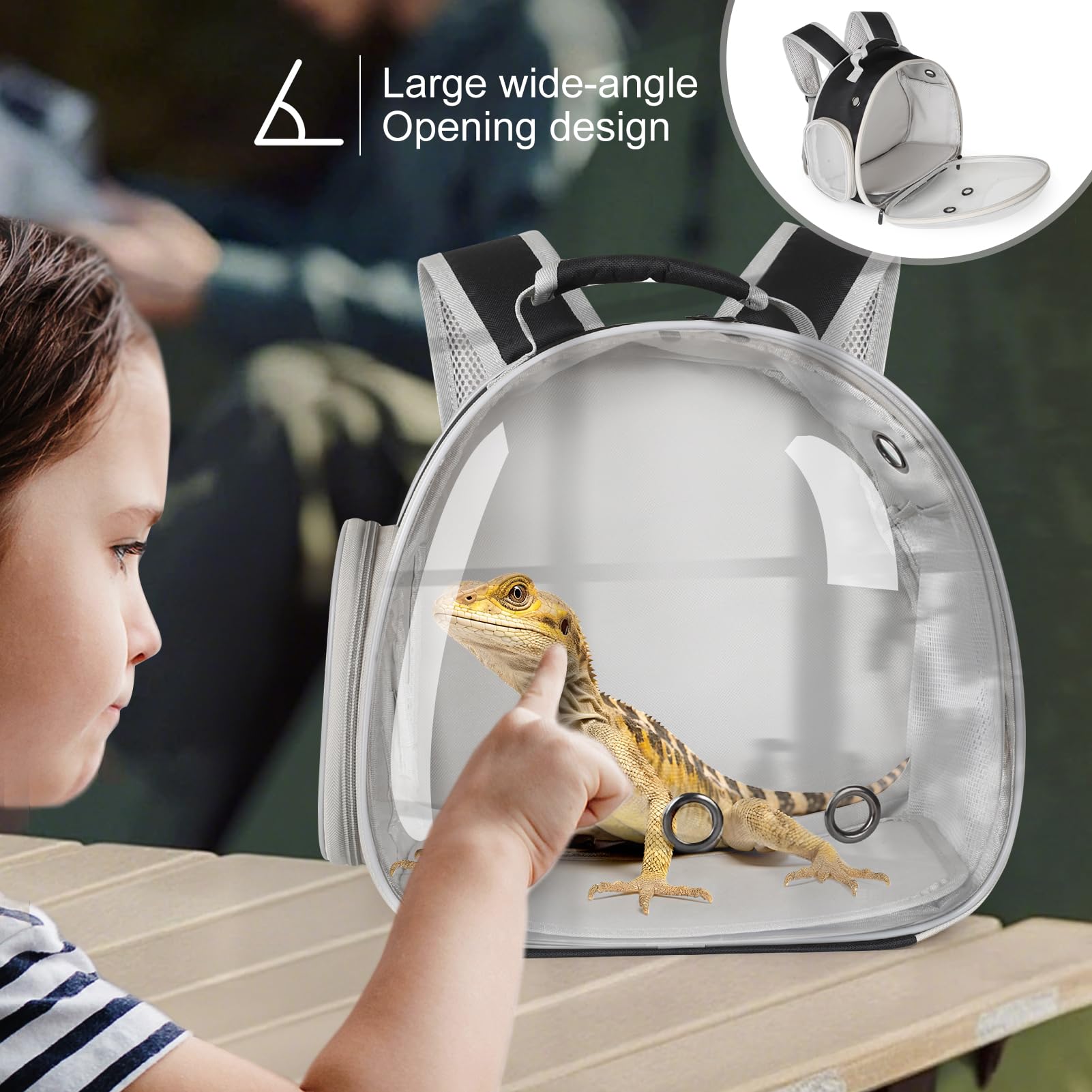 WEVONIGU pogona dans le sac en extérieur illustrant usage sécurisé