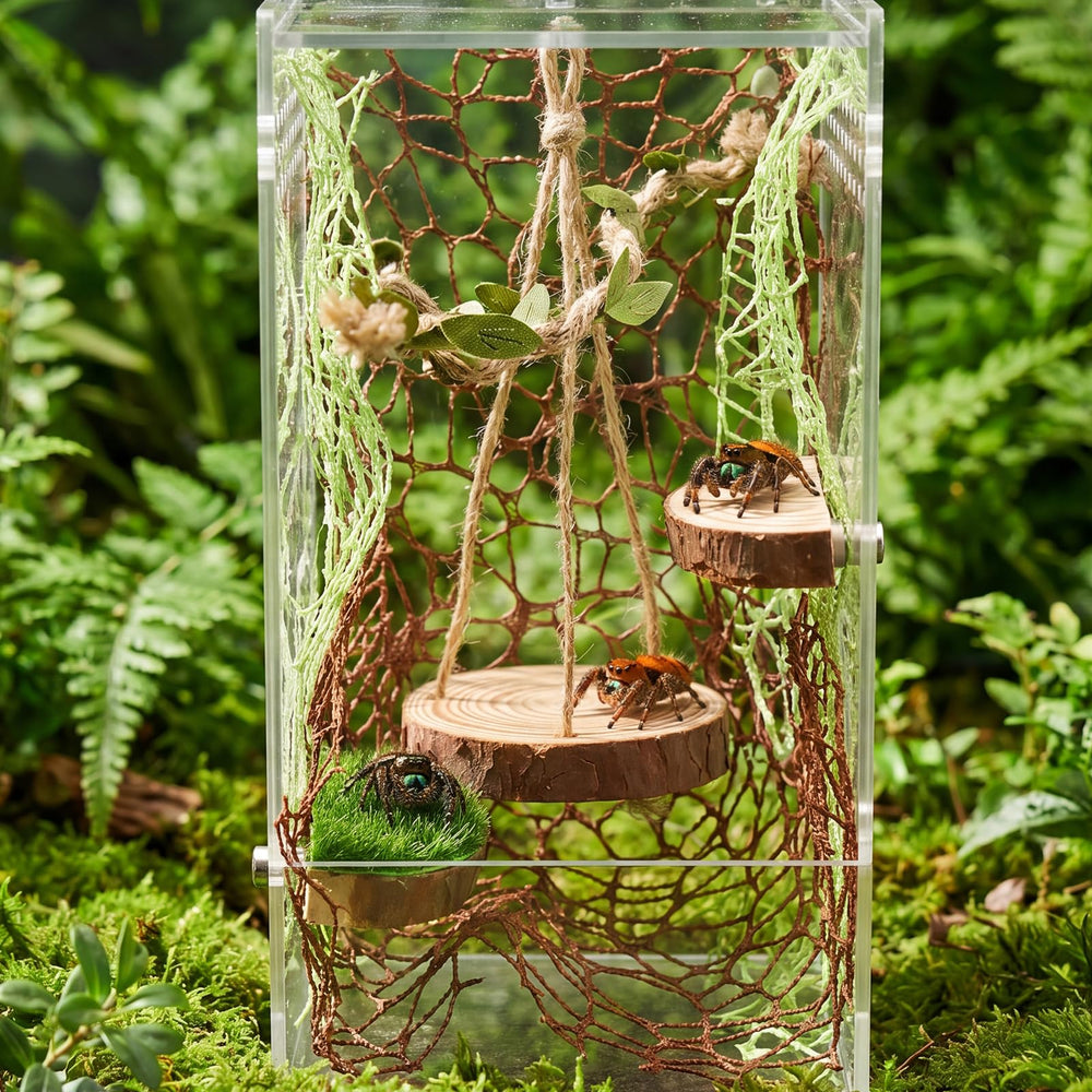 wextuvially ensemble d'accessoires installés dans terrarium pour habitat enrichi