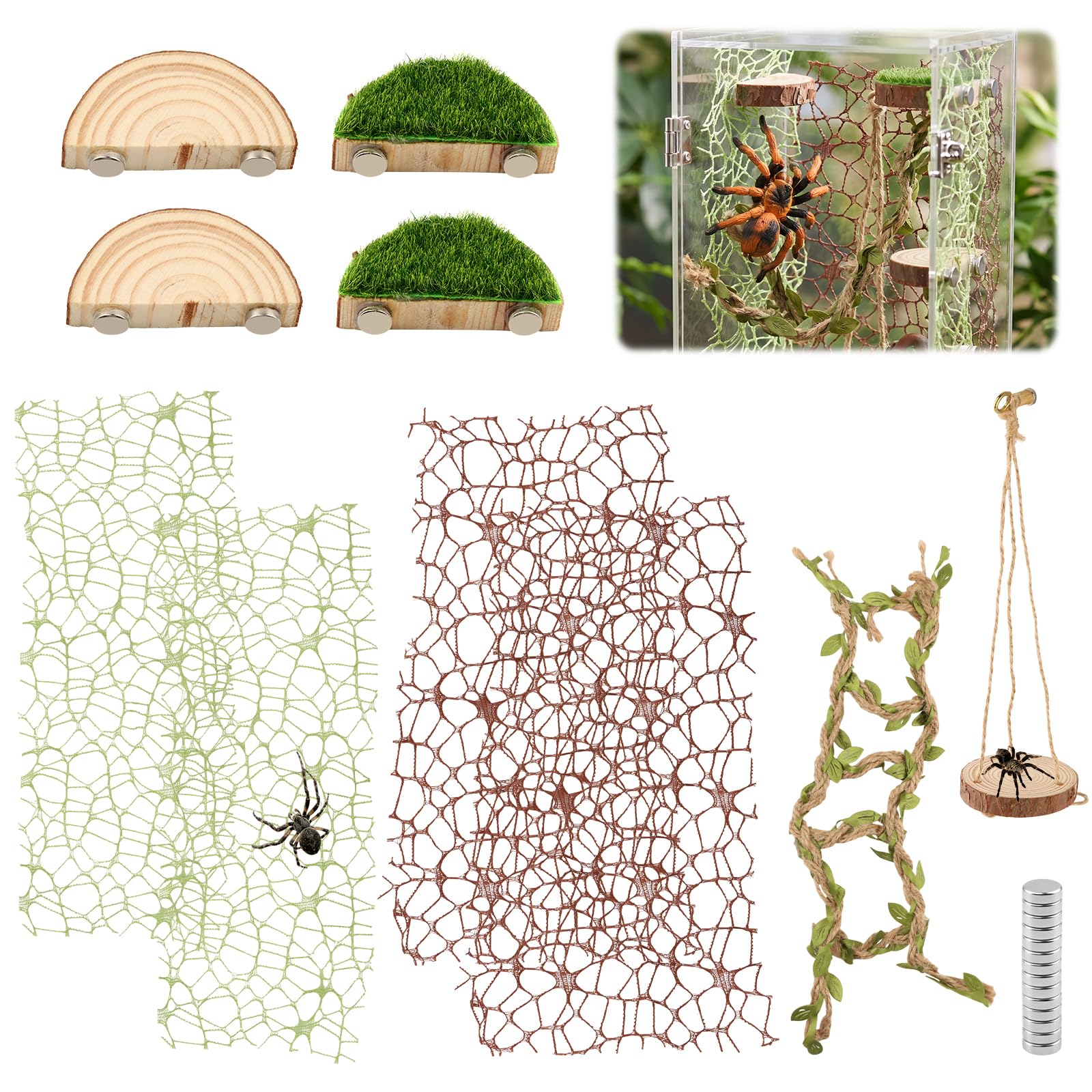 wextuvially mise en situation lifestyle terrarium aménagé stimulant activité